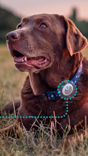 Sure Petcare - Animo Screen 2