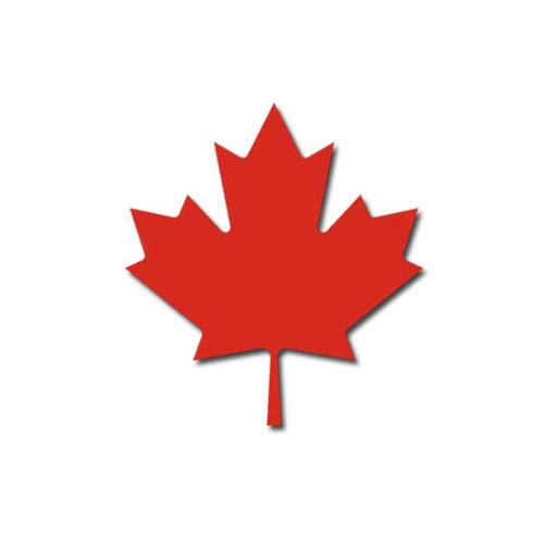 Niagra Port logo