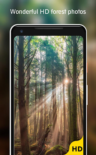 Forest Wallpaper Screen 2