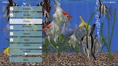 Angel Fish Aquarium TV Liveのおすすめ画像1