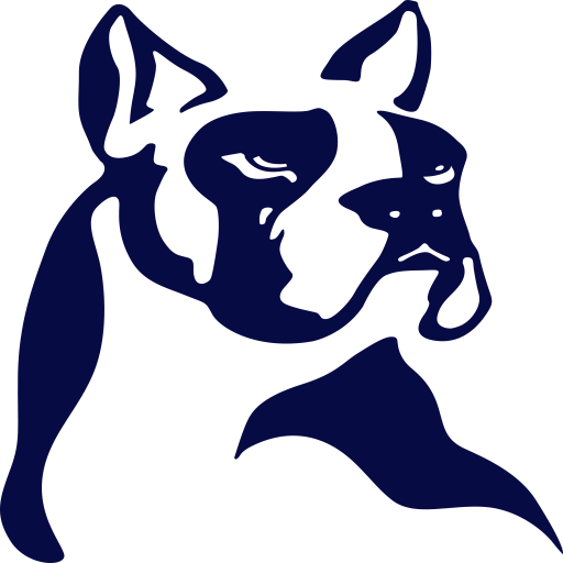 Boxer Kaysun logo