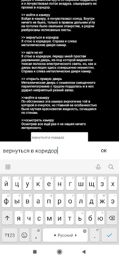 Sanzaru Text Adventure: P1 RU Screen 3