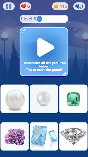 Memory Flashcards Screen 2