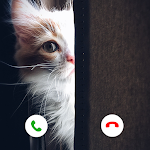 Cover Image of Download Fake Call From Cat  APK