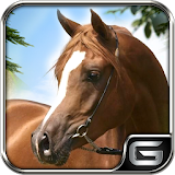 Horse Jump Run Simulator:Show icon