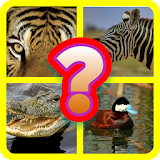 GUESS THE ANIMAL icon