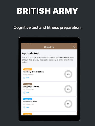 Screenshot of British Army Cognitive Test