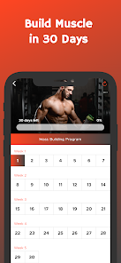 Imágen 3 Ganar masa muscular en casa android