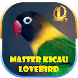 Master Kicau Love Bird icon