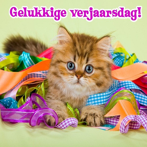 Gelukkige verjaarsdag Beelde logo