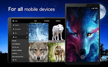Wolf Wallpapers 4k Apps On Google Play