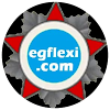 Download EGFLEXI on Windows PC for Free [Latest Version]