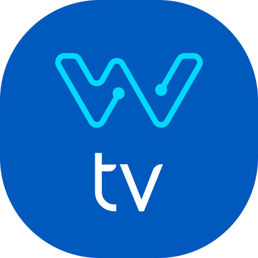 NetWiseTV logo