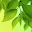 Leaf Live Wallpaper Download on Windows