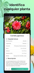 Descargar PictureThis Premium APK 2025: Desbloqueado 2