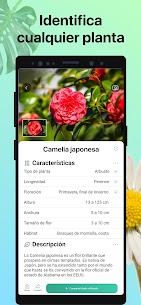 PictureThis Premium – Identificar Plantas 2