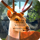 Wild Hunter Jungle 2017 icon