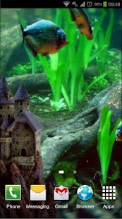 Tangkapan layar lwp Aquarium 3D Piranha