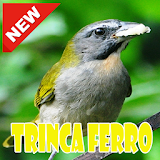 CANTOS DE TRINCA FERRO OFFLINE icon