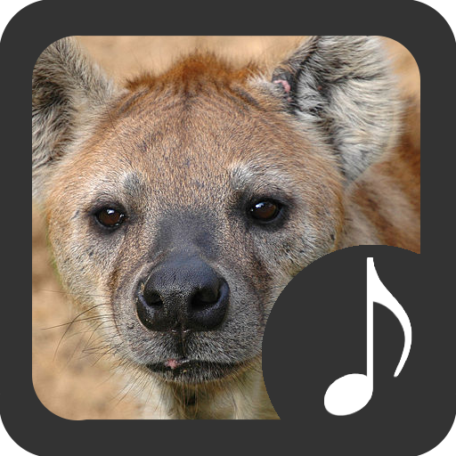 Hyenas Sounds