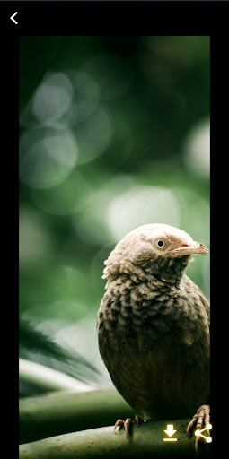 HD Wallpapers Lock Screen Screen 2