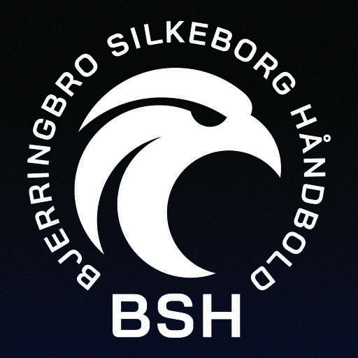 BSH 1.7.24 Icon