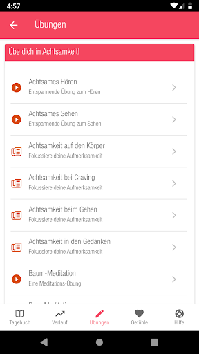 SFK MindCare Screen 3