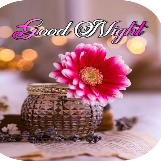 Good Night Images 2024 Laai af op Windows