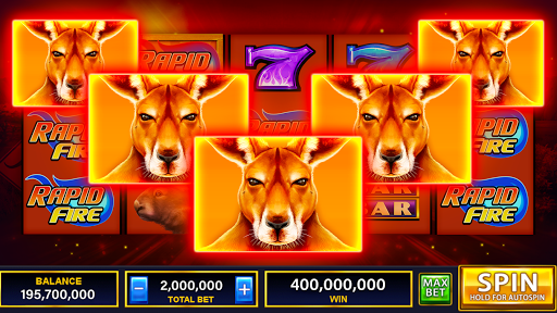 Dog Races - Review Of Casino Caliente, Tijuana, Mexico Slot Machine