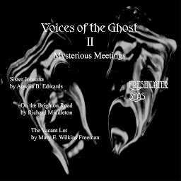 Obraz ikony: Voices of the Ghost II: Mysterious Meetings