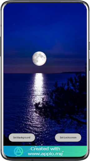 Moon Night Wallpaper