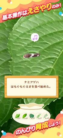 Game screenshot 虫育成ゲーム むしいく3 hack