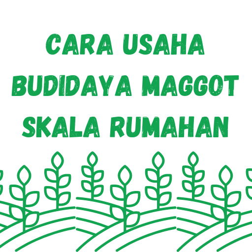 Cara Usaha Budidaya Maggot logo