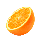 OrangeSSH  Client SSH icon