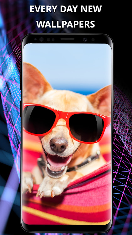 Funny wallpapers for phone - 5.1.0 - (Android)