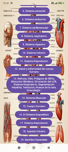 Anatomía Screen 2