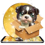 Cute Brown Puppy  Theme icon