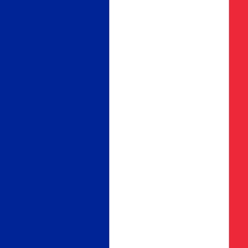 France Flag Puzzle logo