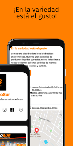 ServicioSur Screen 2