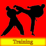 Aikido Training Free icon