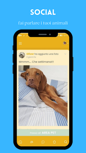 Android application PetsLife: Pet Social Media screenshort