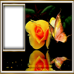 Cover Image of Tải xuống Rose Photo Frame 1.0 APK