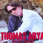 Cover Image of Download THOMAS ARYA (DEMAGA BIRU) 4.1 APK