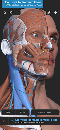 Screenshot of Visual Anatomy 3D - Human body
