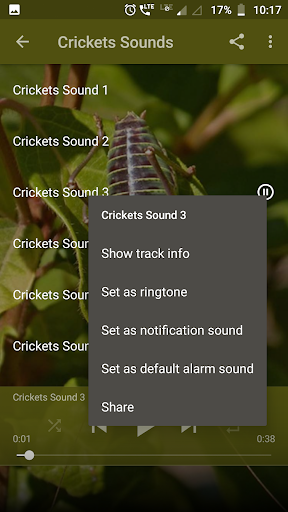 Crickets Sounds Screen 2