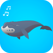 Top 19 Music & Audio Apps Like Whale cry - Best Alternatives