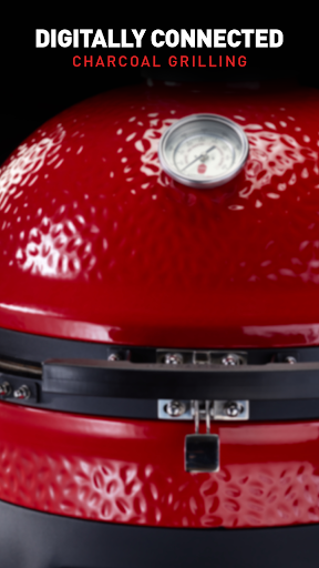 Kamado Joe Screen 2