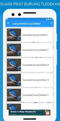 suara pemikat burung tledekan Screen 2
