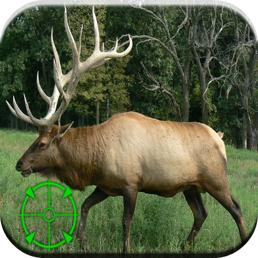 Elk Hunting Calls