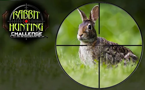 Rabbit Hunting Bow Games